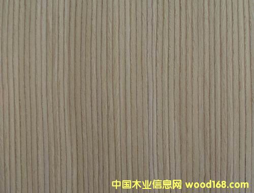 ������ľ��Ԕ����B