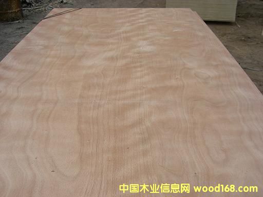 ���b�z�ϰ��Ԕ����B