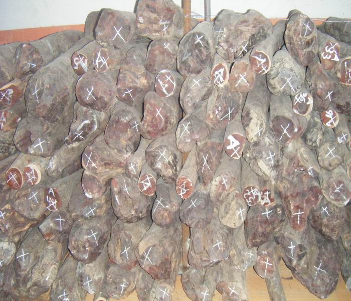 ӡ��С�~��̴ľ��Ԕ����B