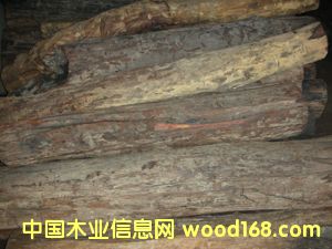 ��t��֦��Ԕ����B