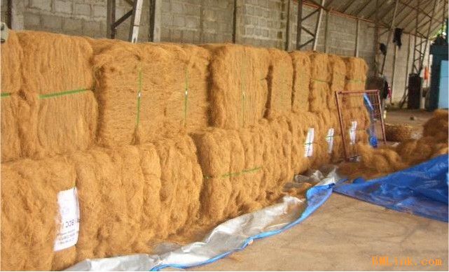 Ҭ�ص�Ԕ��(x��)��B