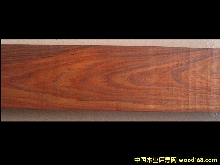 �t��֦��Ԕ��(x��)��B