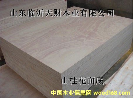 3*6�������z�ϰ��Ԕ����B