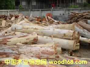 ��ľ��Ԕ����B