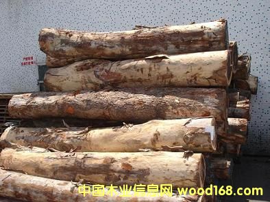 ��ľ��Ԕ����B