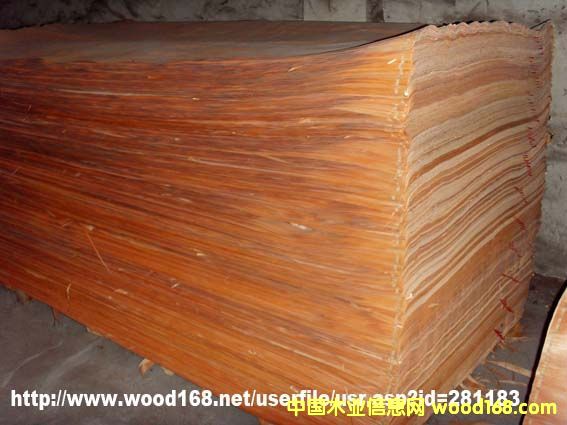 �W����������Ƥ��Ԕ����B