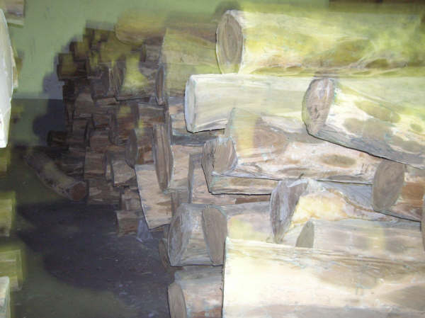 ��Ƥ�G̴��Ԕ��(x��)��B