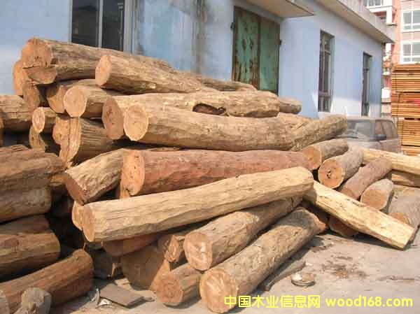 �t̴���Ԕ��(x��)��B