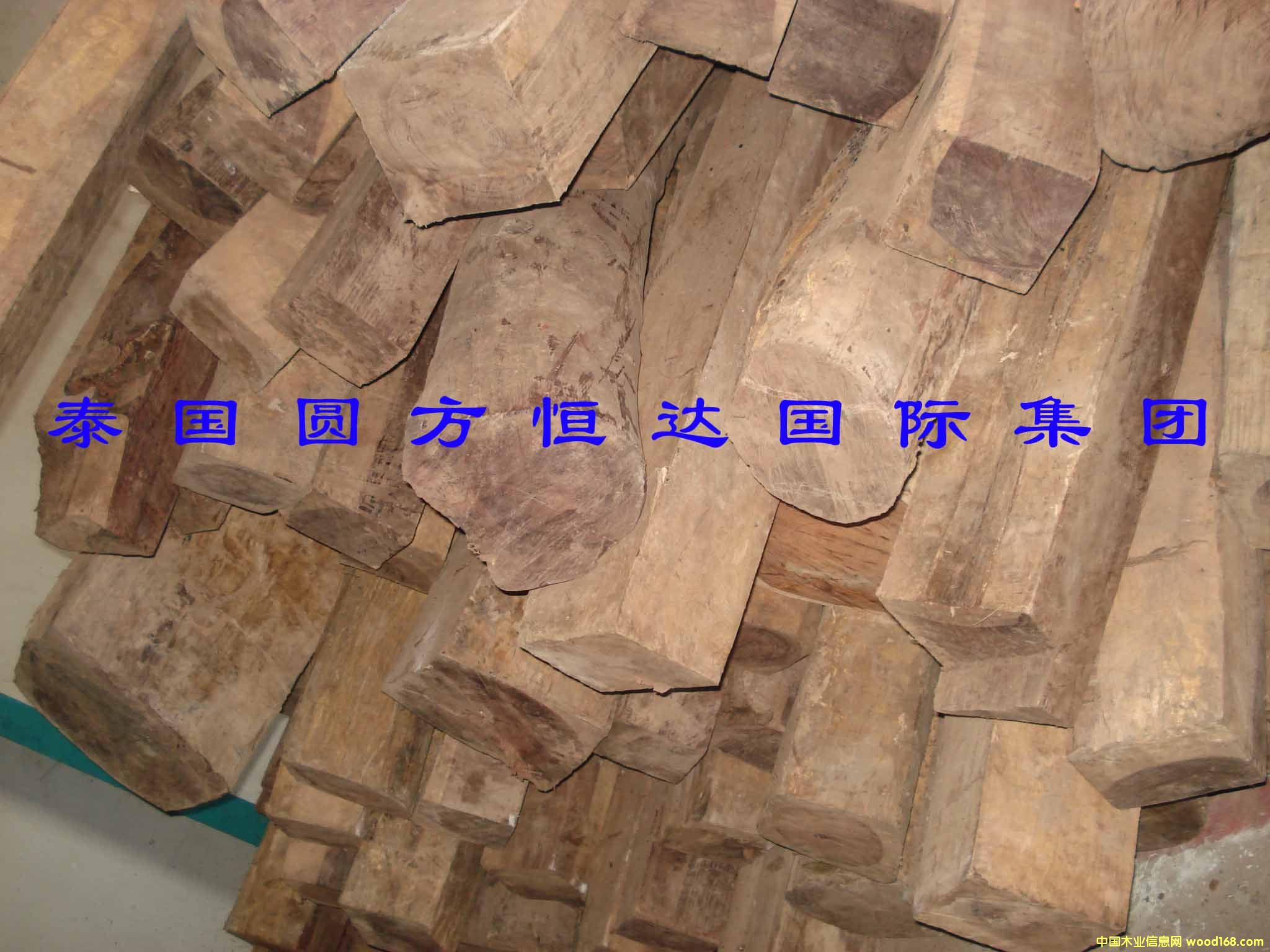 ��t��֦��Ԕ����B