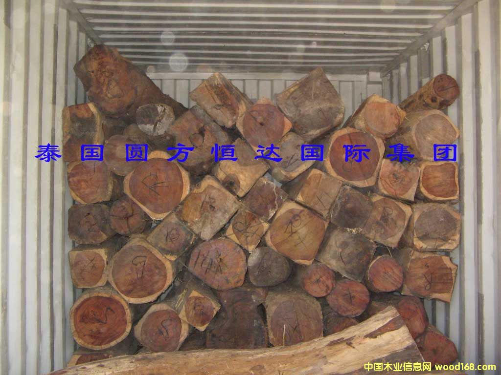 ��t��֦��Ԕ����B