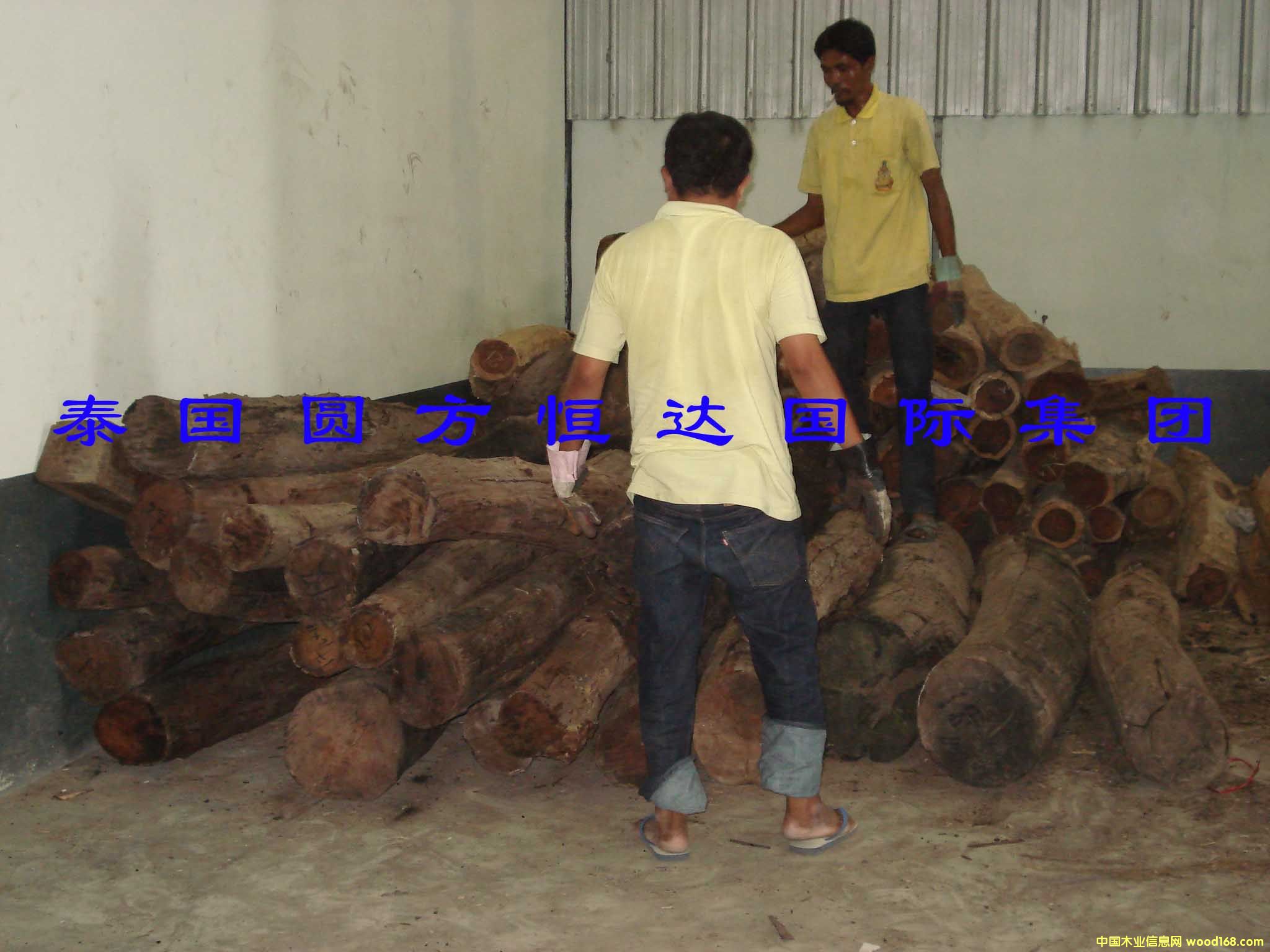 ��t��֦��Ԕ����B