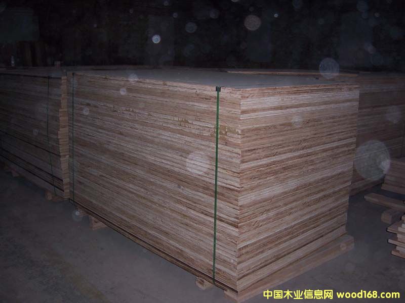 ��ĸ���Ԕ����B