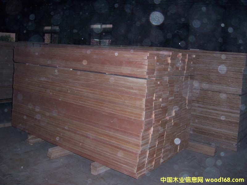 ��ĸ��Ԕ����B