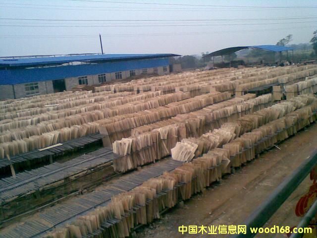 ��ľ�ΰ��Ԕ��(x��)��B