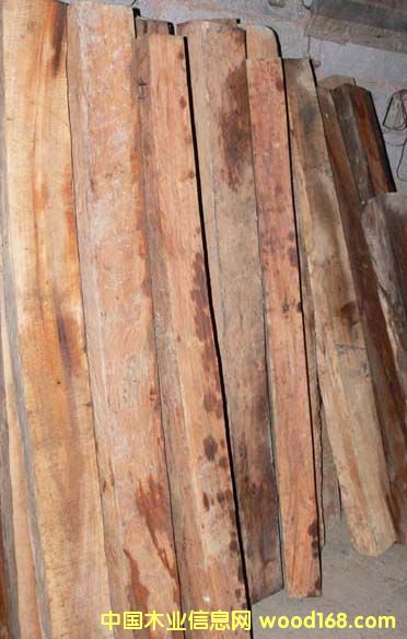 ��ľ��Ԕ����B