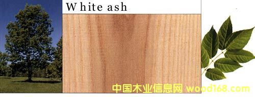 ����ˮ������Ԕ����B