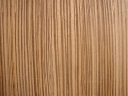 ���RľƤ��Ԕ��(x��)��B