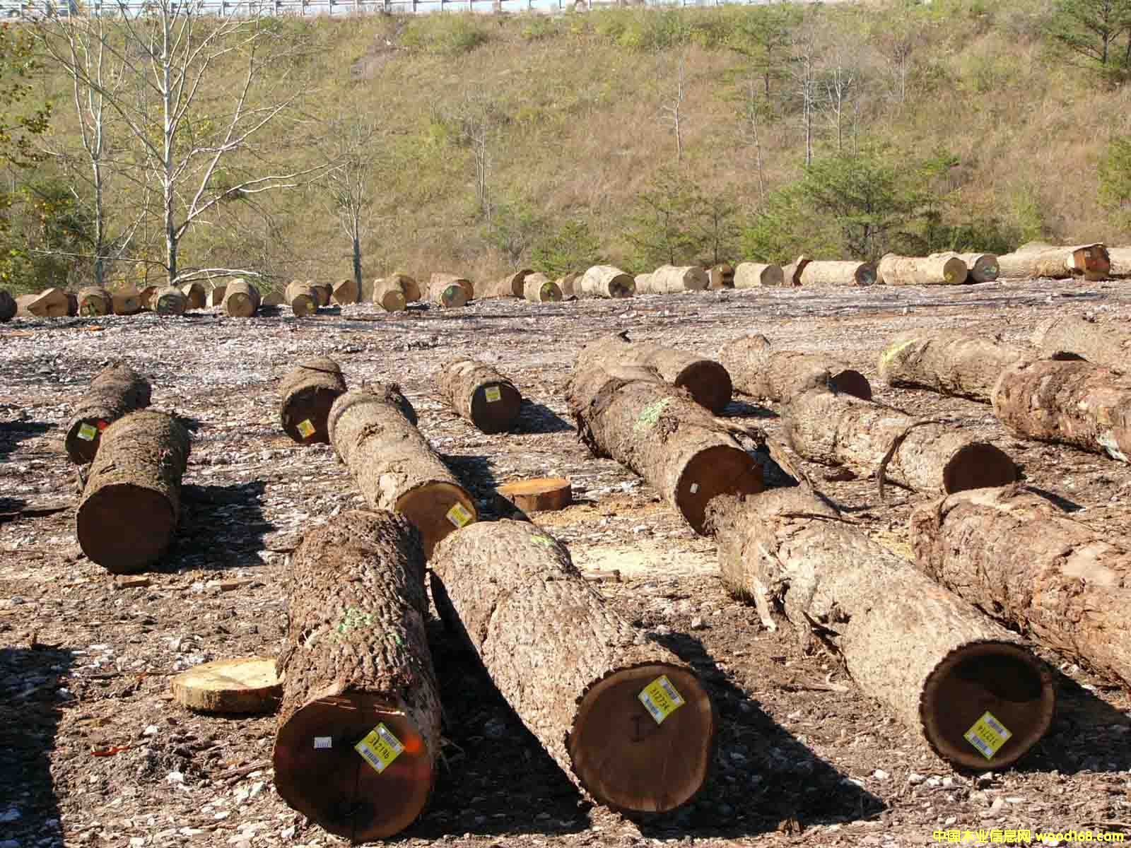 �ں��ҵ�Ԕ����B