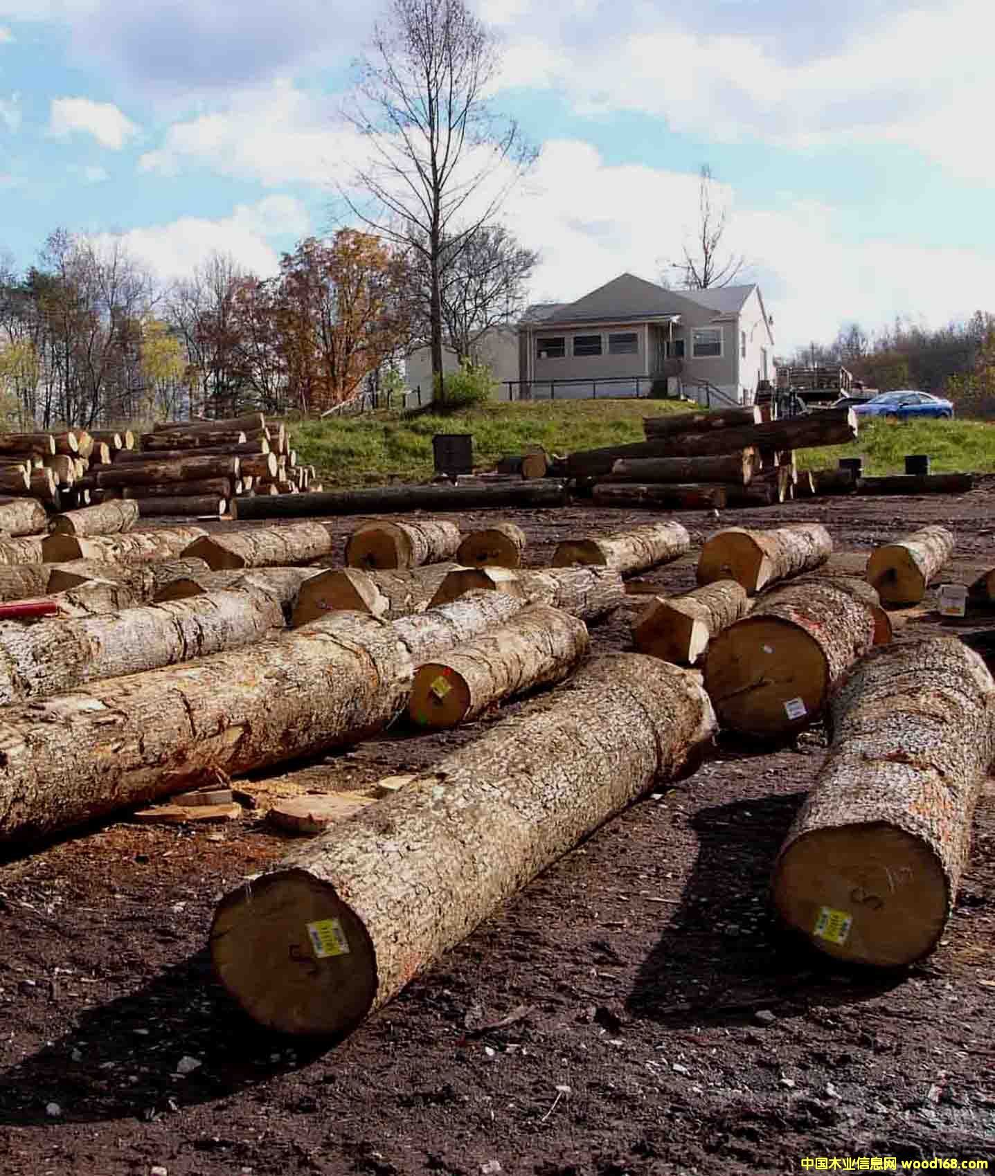 �����Ԕ����B