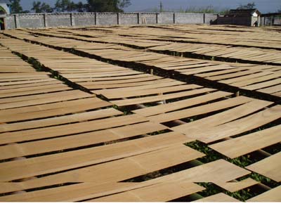 �c(di��n)���鿴��ľ�ذ��Ƥ��Ƭ�Ŵ�DƬ