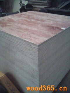 �������P�øߏ�����о�z�ϰ�.���Ͱ��Ԕ����B