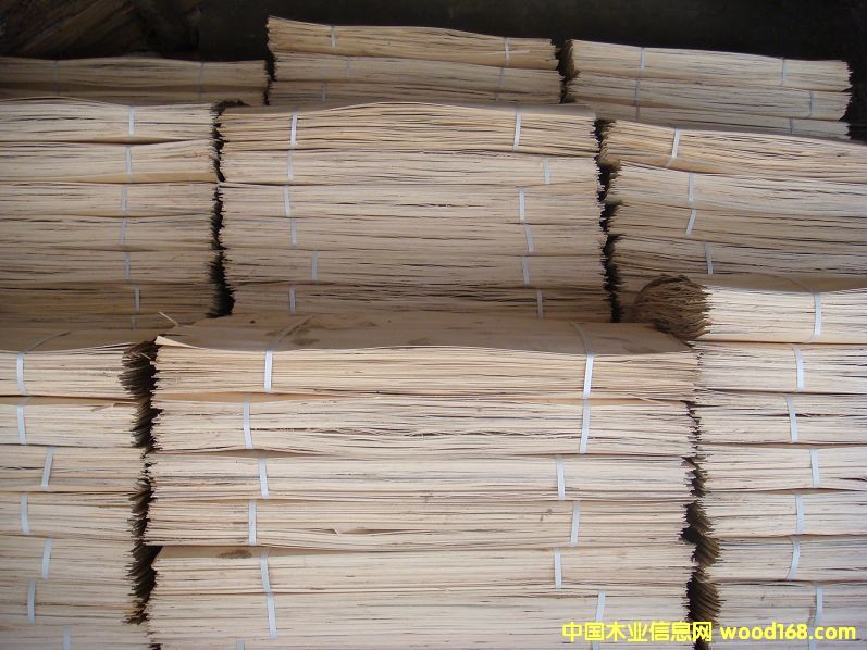 1.5о���Ԕ����B