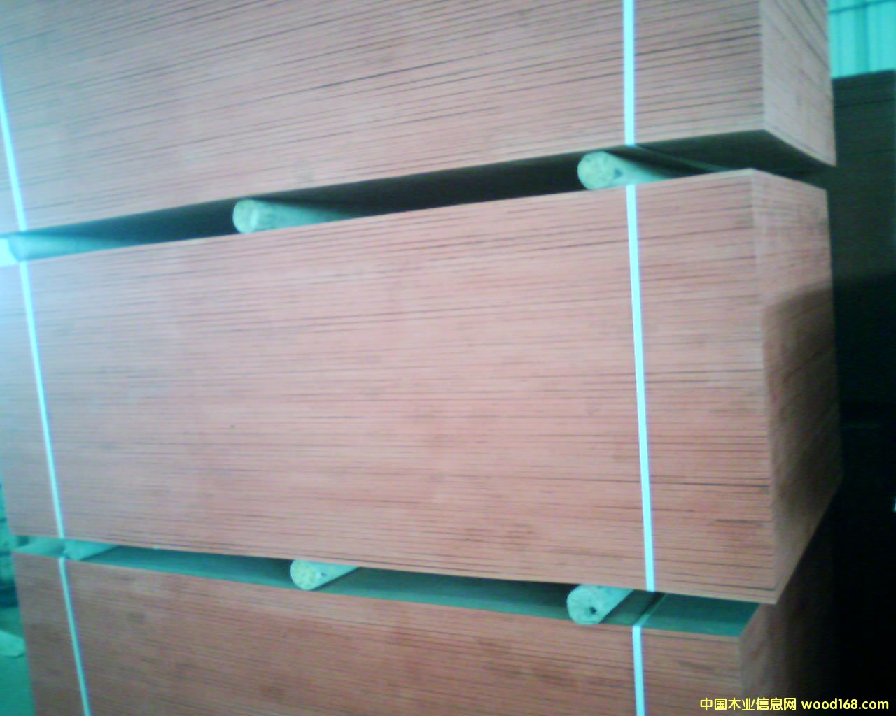 12�ｨ��ģ���Ԕ��(x��)��B