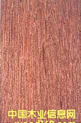 �ϓ��¡ľ��Ԕ����B