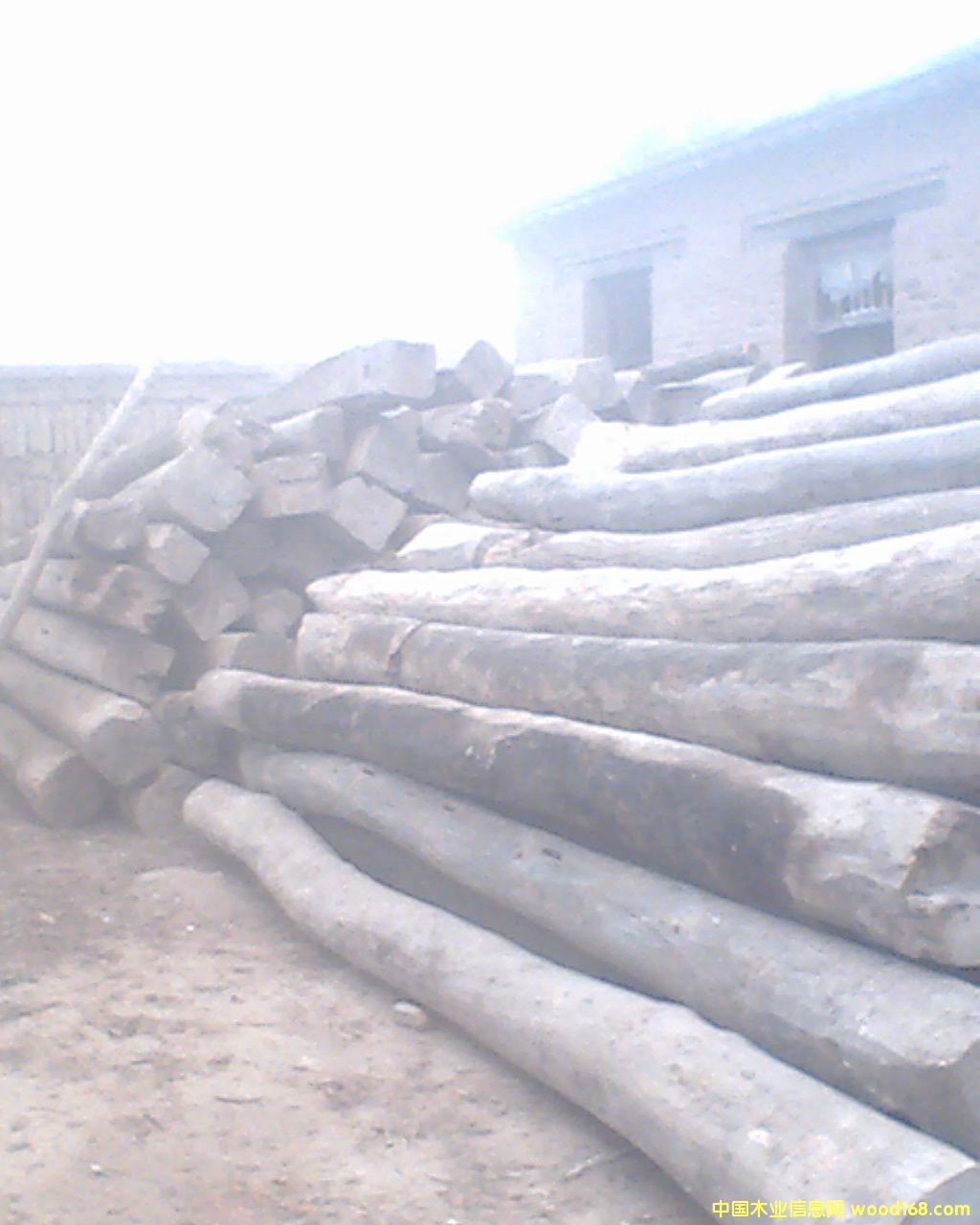 ����ľ��ԭľ��Ԕ����B