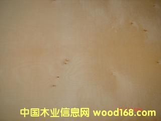 �ט��Ԕ��(x��)��B