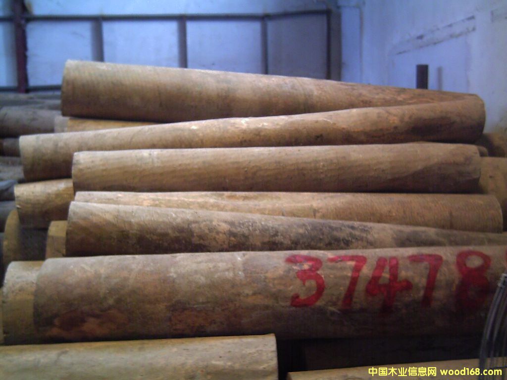 �G̴��Ԕ����B