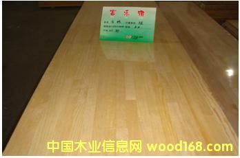 ��ɼ����ƴ��