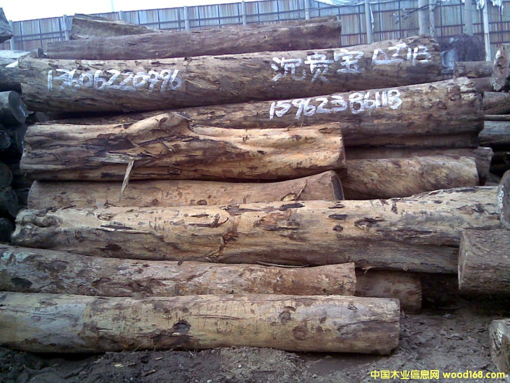 ���F����Ԕ��(x��)��B