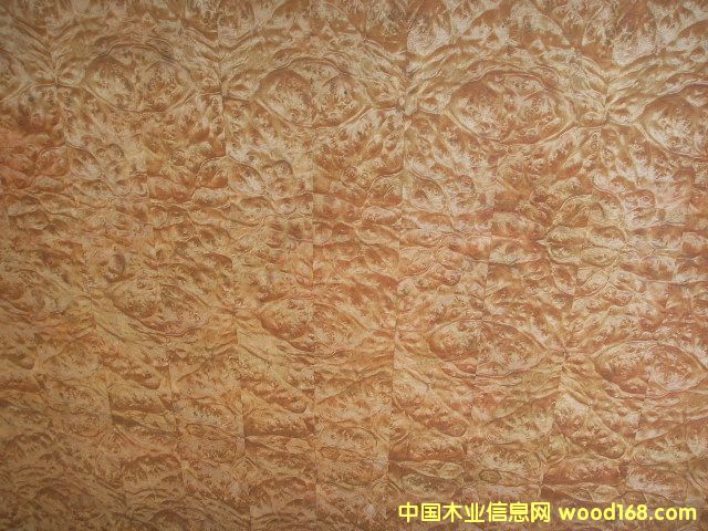 �����N����Ԕ����B