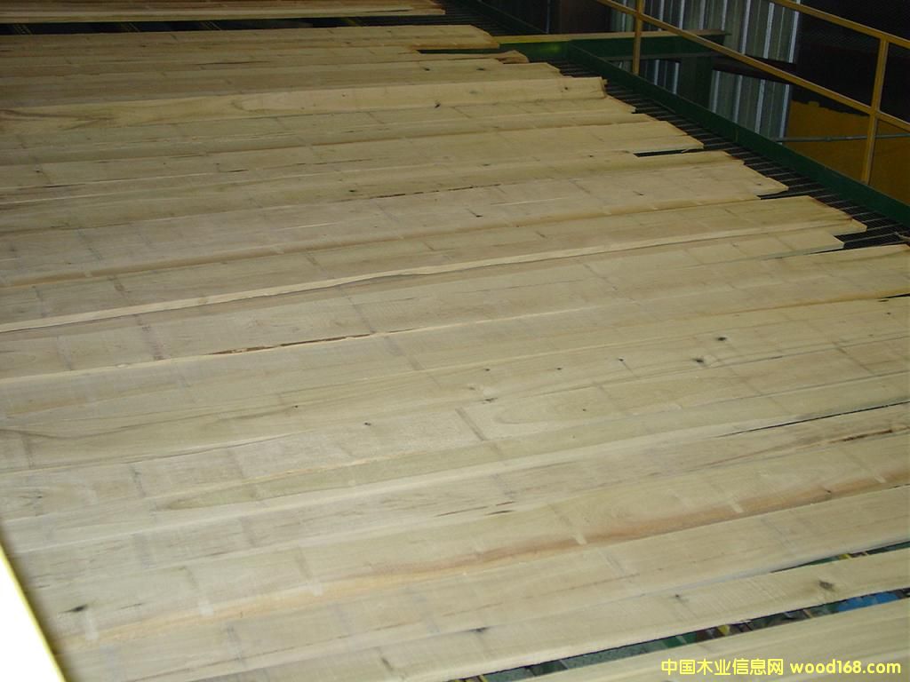 �S��5��Ԕ����B