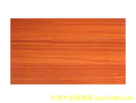 ����ᶹ��Ԕ����B