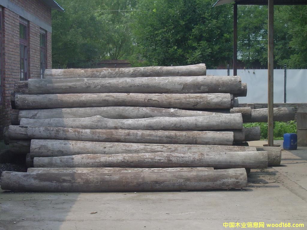 �Ĵ������tľ��JARRAH��