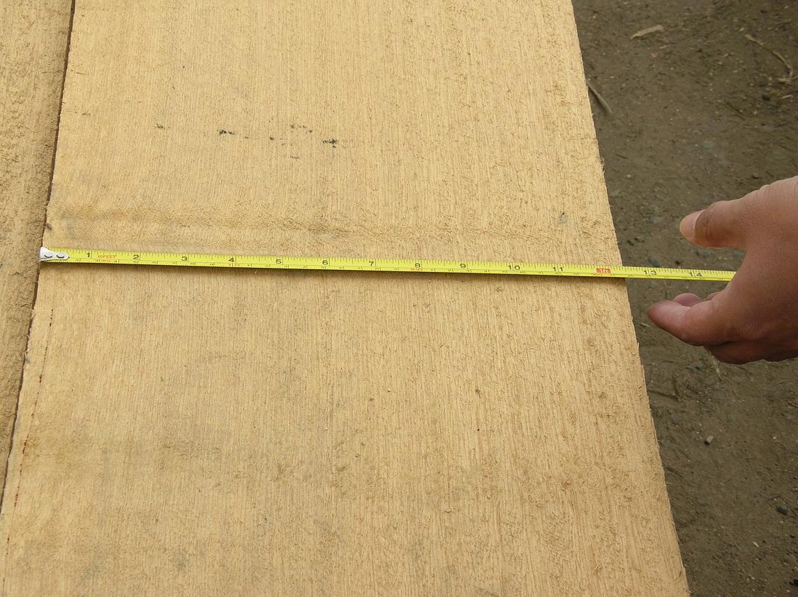 ������ľ