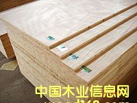 ��ľ�����Ԕ����B