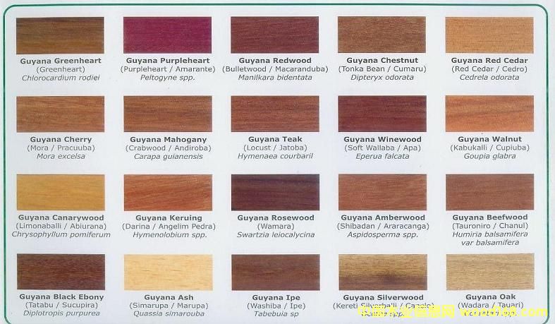 GUYANA WOODS��Ԕ��(x��)��B