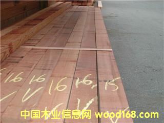 ��ɼ�����t�Ȱء�������� ��western red ceda