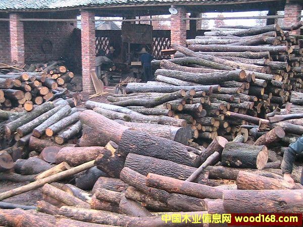 ���ԭľ��Ԕ����B