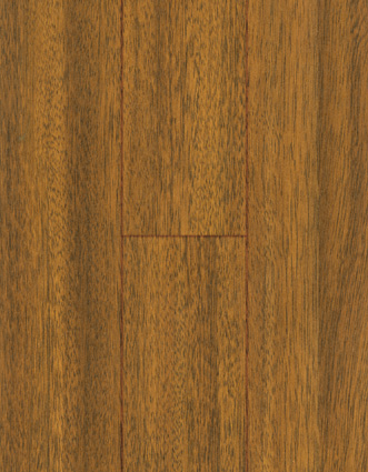 ��˼ľ��Ԕ����B