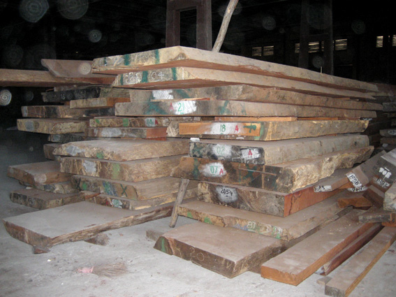 ����ľ��Ԕ����B