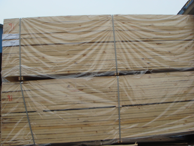 ����ݗ���ɰ�ĵ�Ԕ����B