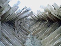 ͩľ���Ԕ����B