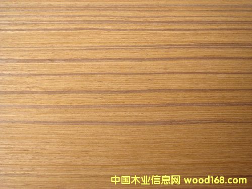 �c���鿴��̴�Ƽ�ľƤ�Ŵ�DƬ