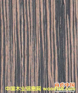 �c���鿴��̴�Ƽ�ľƤ�Ŵ�DƬ