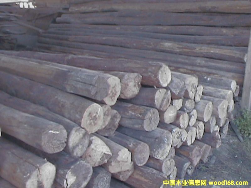 ľ�ĵ�Ԕ����B