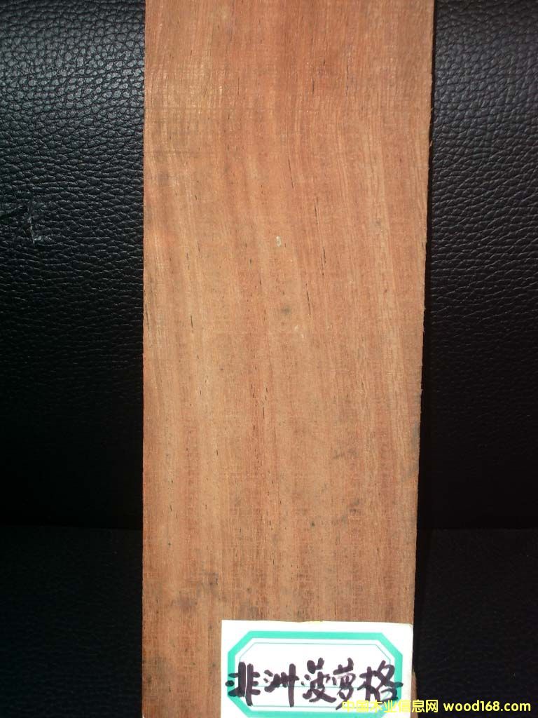 ���޲��}���Ԕ����B